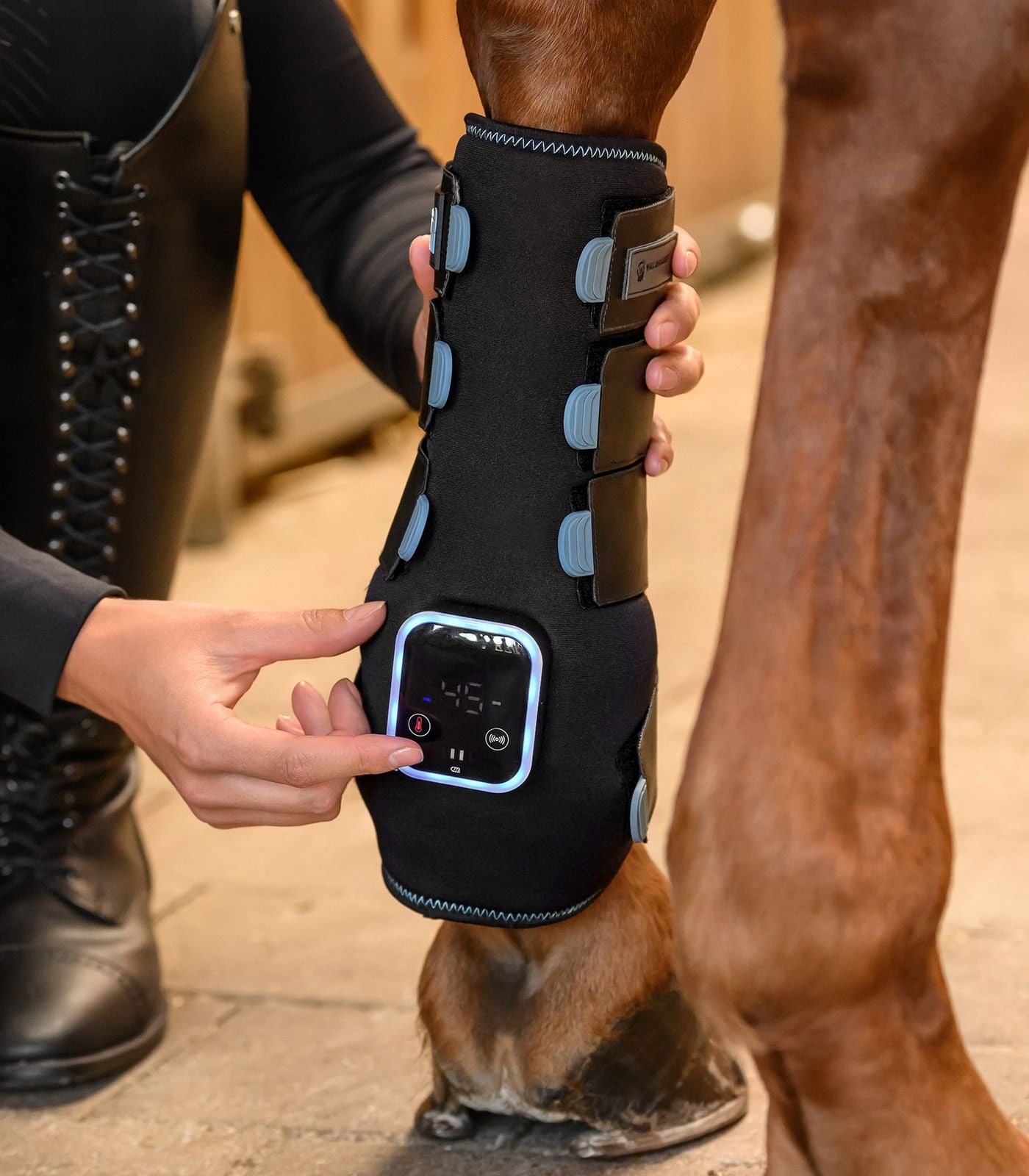 Waldhausen Health + Care TecSupreme tendon boot Transport, therapeutisch en stalbeschermers - Maddelin Equestrian Waldhausen