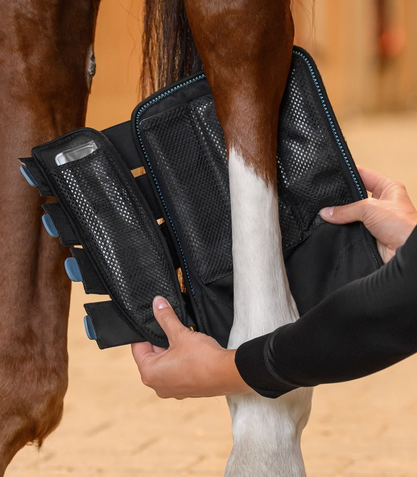 Waldhausen Health + Care TecSupreme tendon boot Transport, therapeutisch en stalbeschermers - Maddelin Equestrian Waldhausen