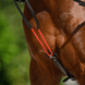 Waldhausen W - trainRein Longeerbenodigdheden - Maddelin Equestrian Waldhausen