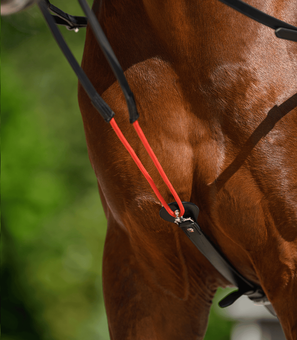 Waldhausen W - trainRein Longeerbenodigdheden - Maddelin Equestrian Waldhausen
