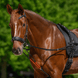Waldhausen W - trainRein Longeerbenodigdheden - Maddelin Equestrian Waldhausen