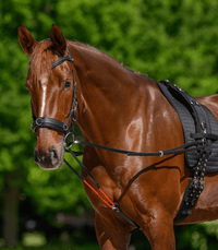 Waldhausen W - trainRein Longeerbenodigdheden - Maddelin Equestrian Waldhausen