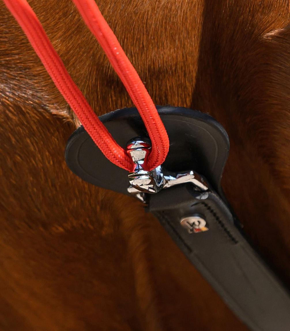 Waldhausen W - trainRein Longeerbenodigdheden - Maddelin Equestrian Waldhausen