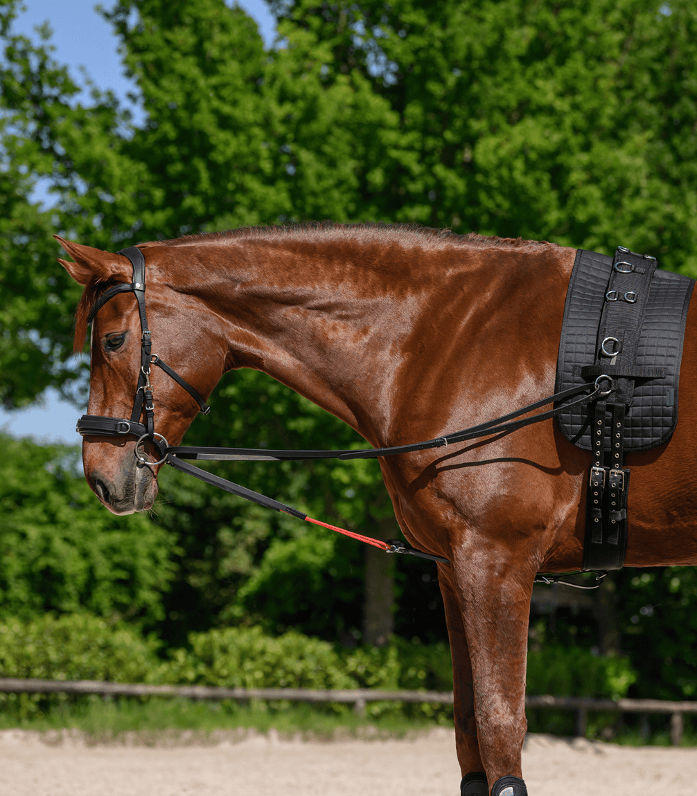 Waldhausen W - trainRein Longeerbenodigdheden - Maddelin Equestrian Waldhausen