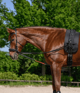 Waldhausen W - trainRein Longeerbenodigdheden - Maddelin Equestrian Waldhausen