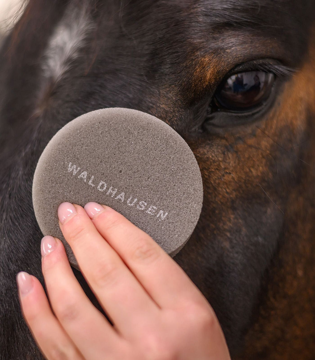 Waldhausen Zachte Grooming Spons Borstels & toebehoren - Maddelin Equestrian Waldhausen