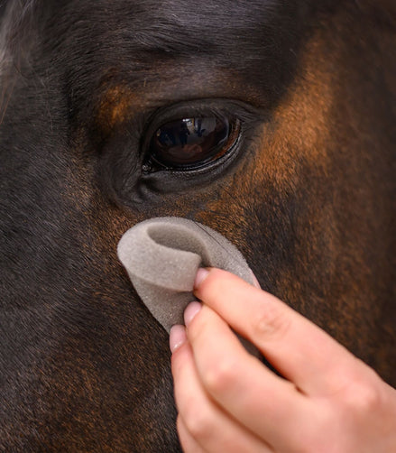 Waldhausen Zachte Grooming Spons Borstels & toebehoren - Maddelin Equestrian Waldhausen