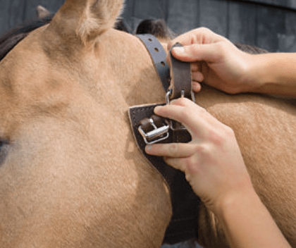 Weaver Miracle Collar Luchtzuigband Halster accesoires - Maddelin Equestrian Weaver