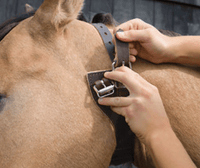 Weaver Miracle Collar Luchtzuigband Halster accesoires - Maddelin Equestrian Weaver