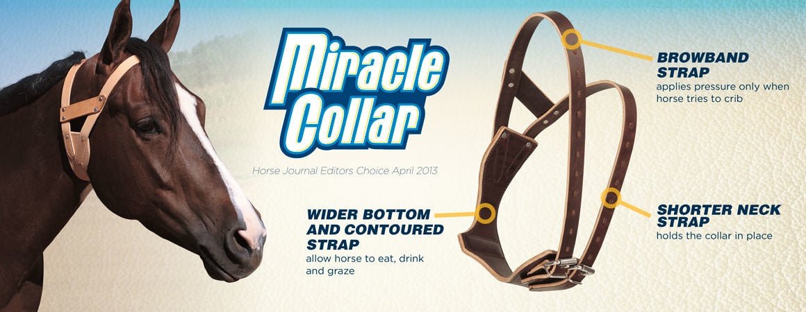 Weaver Miracle Collar Luchtzuigband Halster accesoires - Maddelin Equestrian Weaver