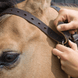 Weaver Miracle Collar Luchtzuigband Halster accesoires - Maddelin Equestrian Weaver