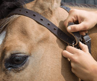 Weaver Miracle Collar Luchtzuigband Halster accesoires - Maddelin Equestrian Weaver