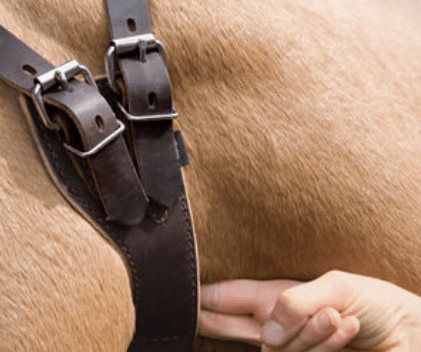 Weaver Miracle Collar Luchtzuigband Halster accesoires - Maddelin Equestrian Weaver