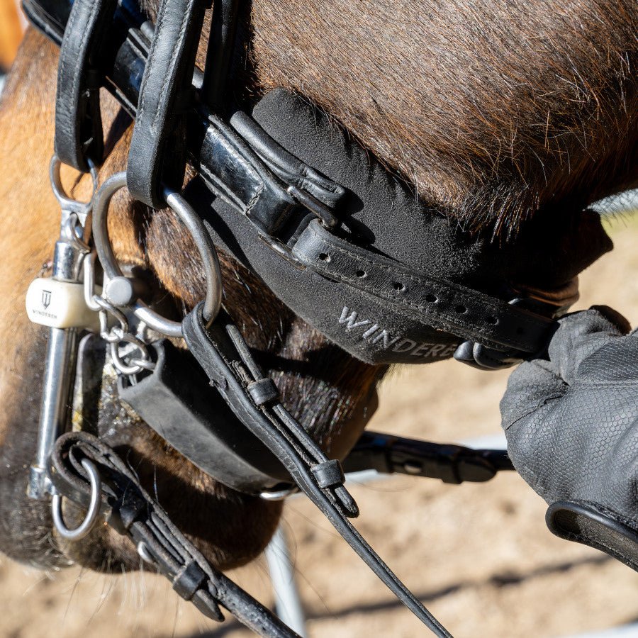 Winderen Chin Relief Noseband Pad Neusriemen & Co - Maddelin Equestrian Winderen