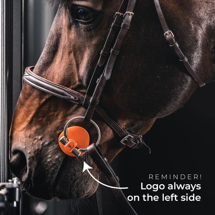 Winderen Mondstuk Toebehoren bitten - Maddelin Equestrian Winderen