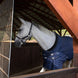 Winderen Staldeken Thermoactive Zoom Staldeken - Maddelin Equestrian Winderen