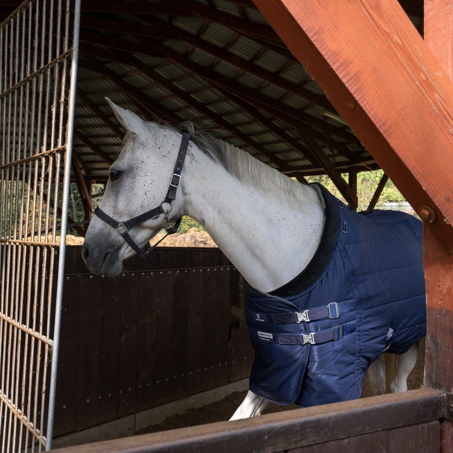 Winderen Staldeken Thermoactive Zoom Staldeken - Maddelin Equestrian Winderen