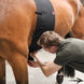 Zandona Buikbeschermer Basic Chafe Guard Singels - Maddelin Equestrian Zandona